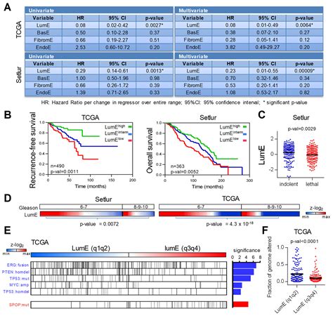 A Novel Prostate Cell Type-Specific Gene Signature to Interrogate ...