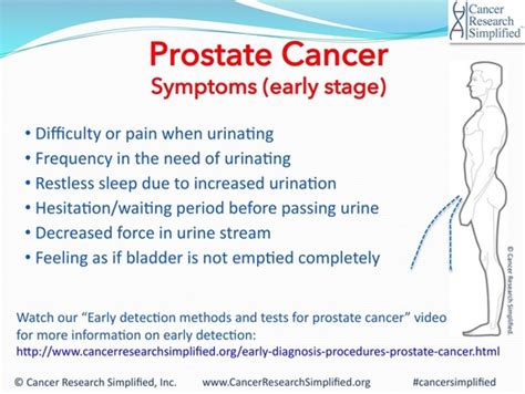 Resultado de imagen de prostate+cancer+stages