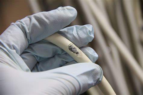 Image result for Check for Cable Damage Signage