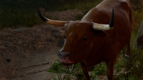 Baldur's Gate 3 Strange Ox: What is it? | PC Gamer