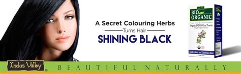 Buy INDUS VALLEY Organic Indigo Powder Hair Color (Indigo, Indigo+argan ...