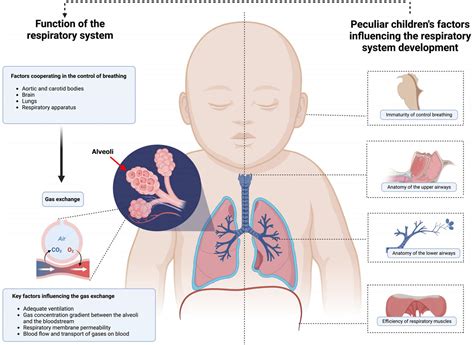 Hyaline membrane disease, causes, symptoms, diagnosis, treatment ...