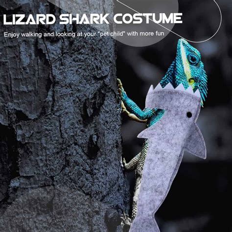 Adorable Shark Costume for Small Reptiles and Amphibians – My 1 Store
