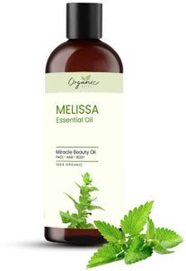Organic Bliss Melissa 100% Pure Therapeutic Grade Essential Oil for ...