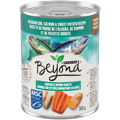 Beyond Grain Free Whitefish & Salmon Wet Dog Food, 368-g | Canadian Tire