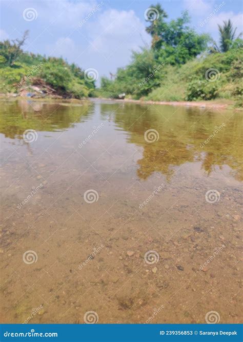 Image result for Starting Stream That Loop