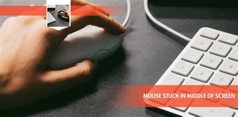 Mouse Crawling around On Screen 的图像结果