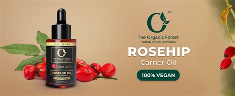 Buy 100% Plant Based Organic Rosehip Oil for Skin & Face – Pure and ...