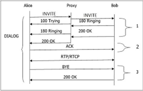 Image result for Computer Programming Protocol SIP