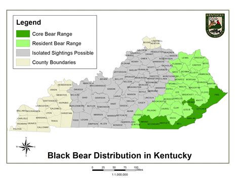 Kentucky Department Of Fish Wildlife Black Bears Easter Island Head Meme Ooo