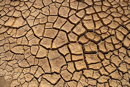 干涸的意思干涸和干枯的区别