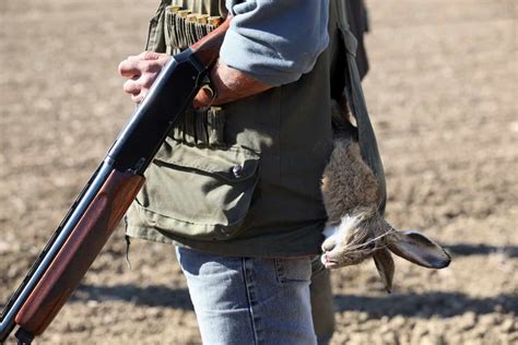 Rabbit Hunting Tips 的图像结果