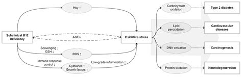 Vitamin B12 in Relation to Oxidative Stress: A Systematic Review