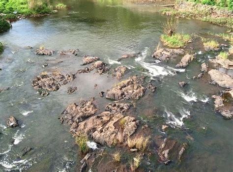 முல்லைப் பெரியாறு மாசடைவதை தடுத்தால் ரூ.2,500 பரிசு: கேரள பஞ்சாயத்தில் ...