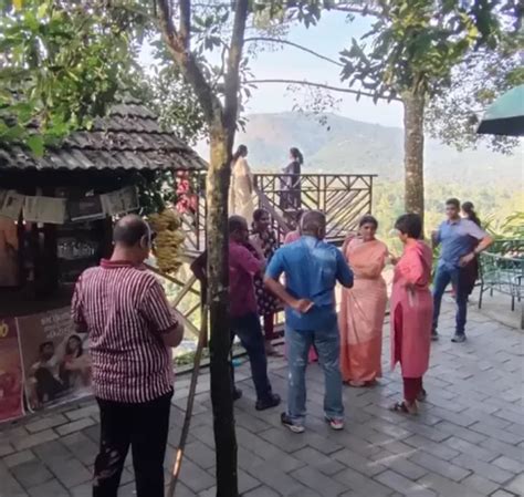 Moments in Forest Canopy Thekkady