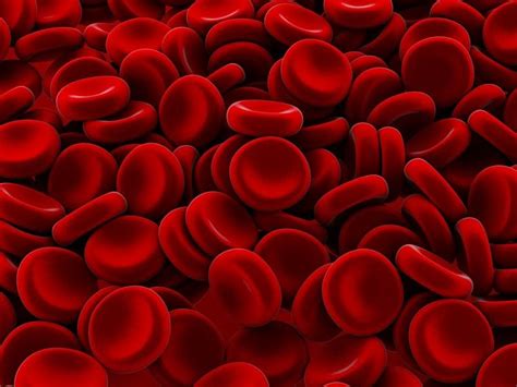 Best Pathology Laboratory in Mulund & Thane