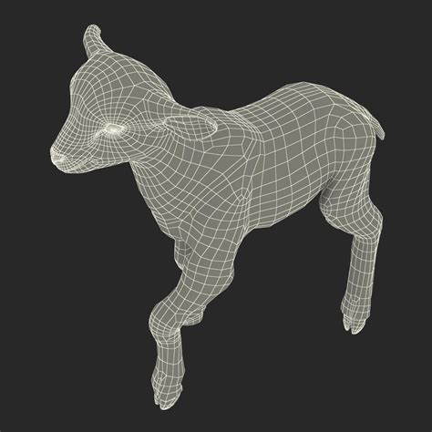 3D Lamb Pose 2 | 3D Molier International