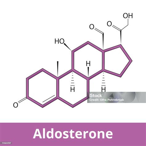Aldosterone Stock Illustration - Download Image Now - Adrenal Cortex, Aldosterone, Angiotensin ...