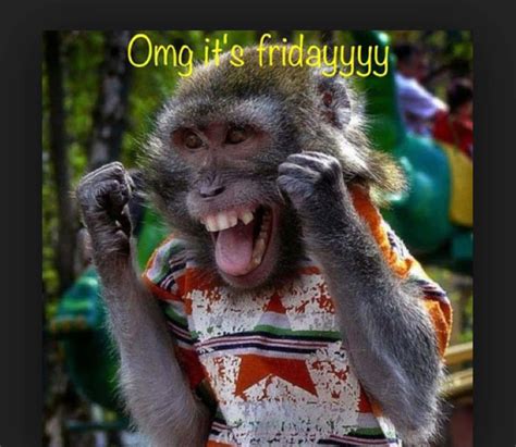 Funny Its Friday Pics: Why We Still Obsess Over These Weird Workday ...