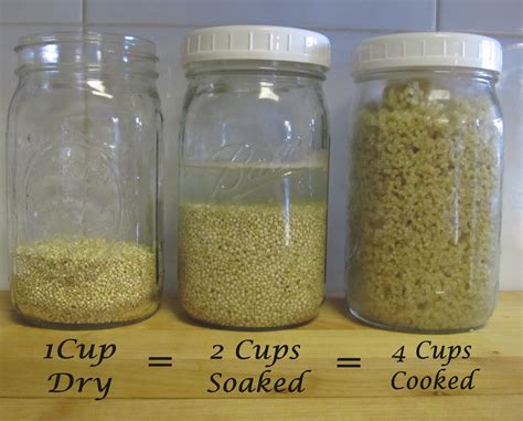 How To Make 1/2 Cup Of Quinoa at Mary Bilbo blog