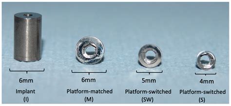 Surface Corrosion from Implant–Abutment Couplings with Different ...