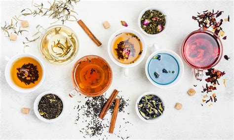 Mastering the art of tea: a beginner's guide to 5 types of tea and how ...