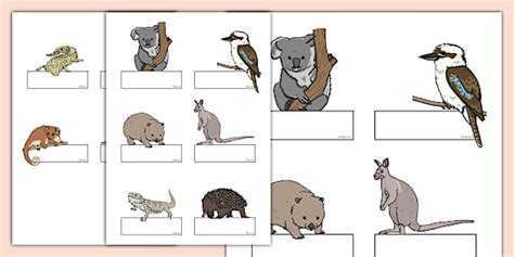 Editable Self-Registration Labels (Australian Animals)