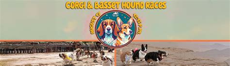 Corgi & Basset Hound Races - Fort Erie Race Track, 230 Catherine Street ...