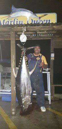 Marlin Queen Fishing Charters (Rarotonga) - 2020 What to Know Before ...