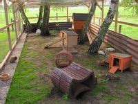 DIY Rabbit Colony 的图像结果