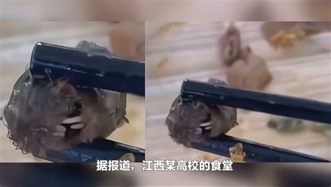 江西通报“鼠头鸭脖”事件：异物为老鼠类动物头部 - 四川省医药保化品质量管理协会