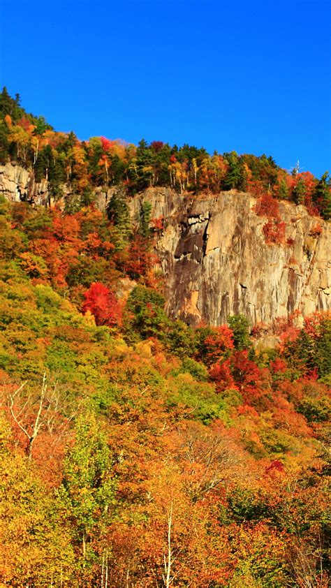 Download wallpaper forest, trees, mountains, nature, rocks, Autumn ...