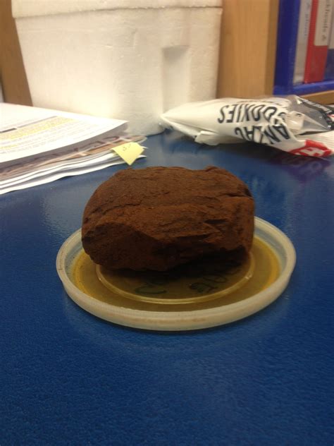 Drinking the world’s only deep-sea coffee | Te Papa’s Blog