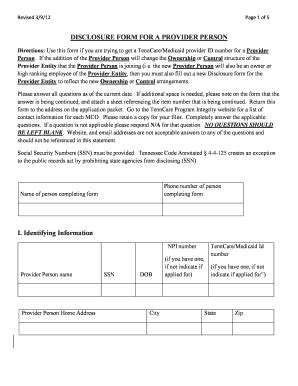 DISCLOSURE FORM FOR A PROVIDER PERSON I ... - TN.gov - Tn - Fill and ...
