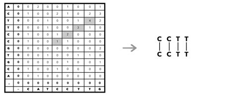 Image result for Local Sequence Alignment