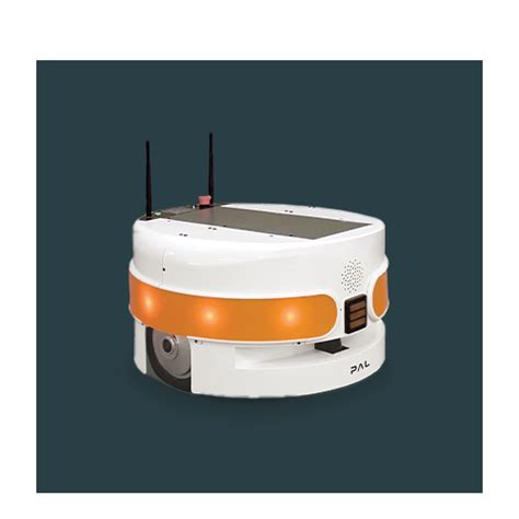 Pal Robot 的图像结果