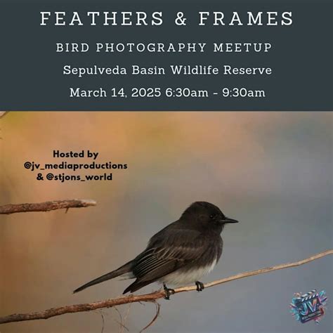 Feathers And Frames, Sepulveda Basin Wildlife Reserve, Los Angeles, 14 ...