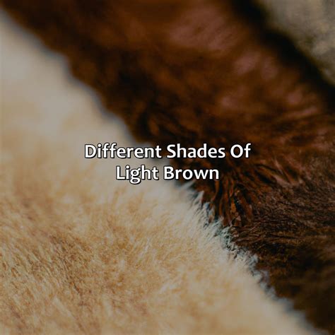Different Shades Of Light Brown - colorscombo.com