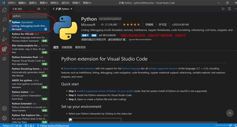 vs Code JSON Python Tutorial 的图像结果