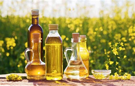 Centre approves Rs 10,103 crore National Edible Oil Mission to raise ...