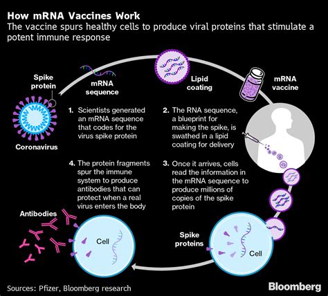 Pfizer (PFE), Moderna (MRNA) Covid-19 Vaccines: What We Know; Do They Work? - Bloomberg