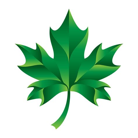Green Maple Leaf Clip Art