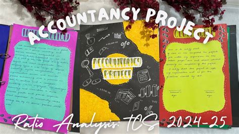 Accountancy Project Class 12 Ratio Analysis 的图像结果