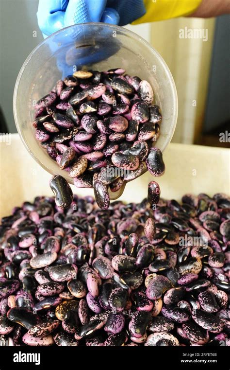 Runner Bean Cooking 的图像结果