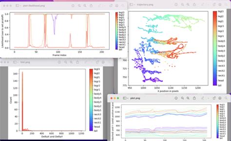 Image result for Deeplabcut New Project Tutorial