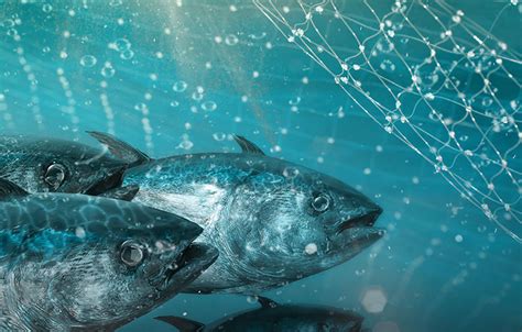 Bioinformatics Data Repository