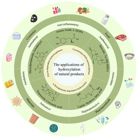 Recent Advances and Challenges in the Production of Hydroxylated ...
