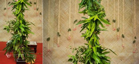 Traditional Chettinad Chettiar Wedding Photography Karaikudi | Light Story