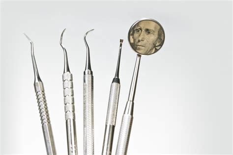 The Best Pre-Dental Programs in Every State | Leland