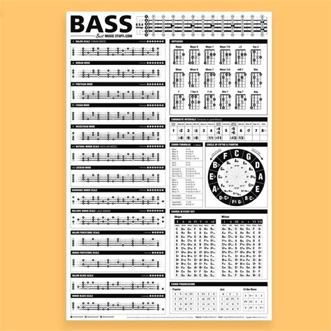 Essential Bass Theory Chart Version 2 UPDATED & India | Ubuy